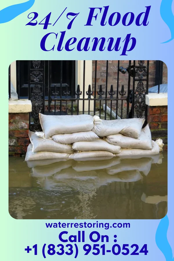 24/7 Flood Cleanup in Martins Ferry, OH