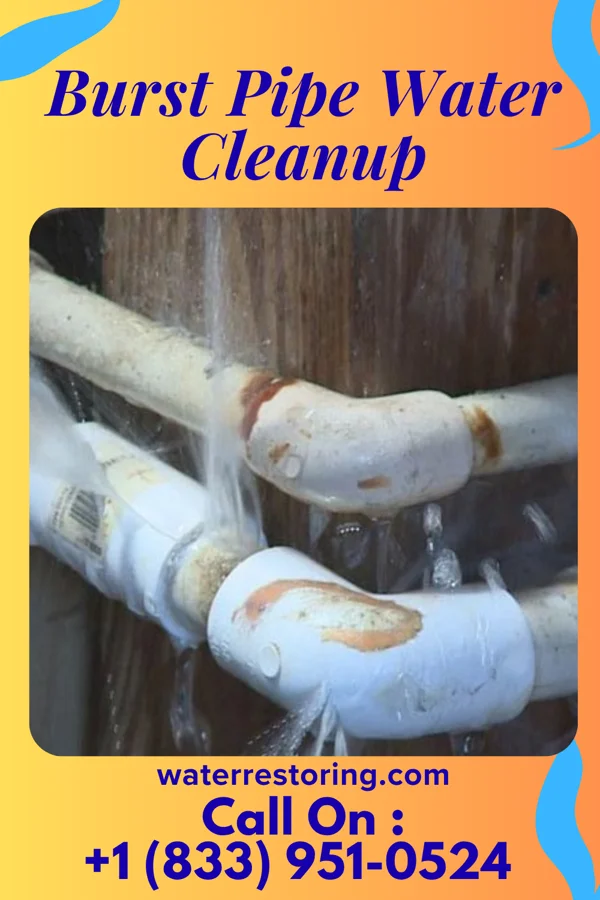Burst Pipe Water Cleanup in Martins Ferry, OH