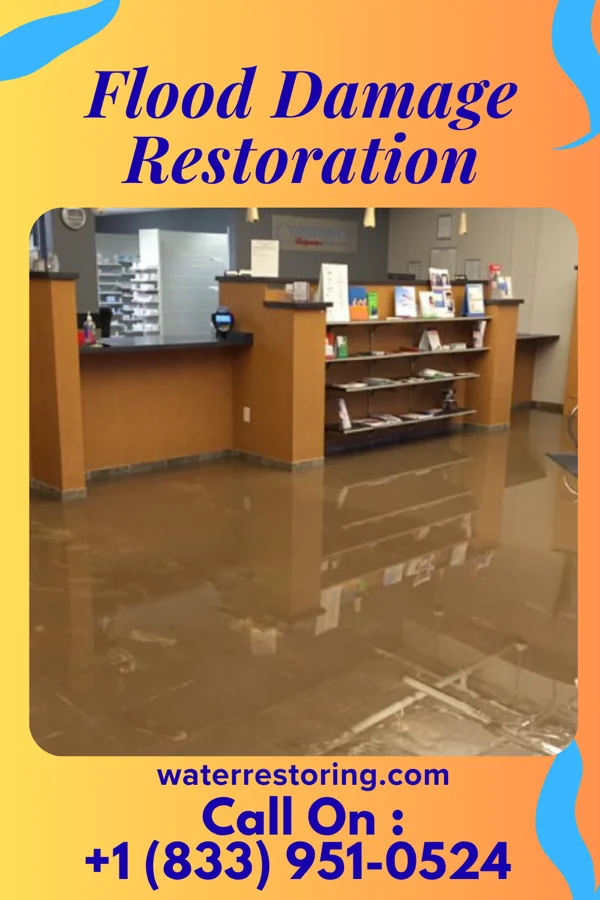 Flood Damage Restoration in Martins Ferry, OH