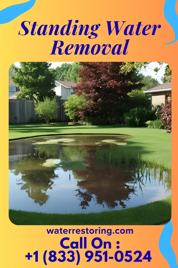 Standing Water Removal in Martins Ferry, OH